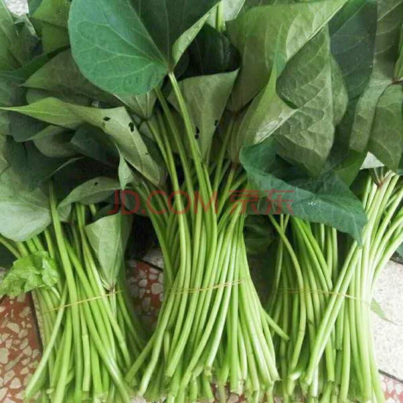 农家自种红薯叶新鲜地瓜叶山芋梗时令蔬菜绿色3斤蔬菜