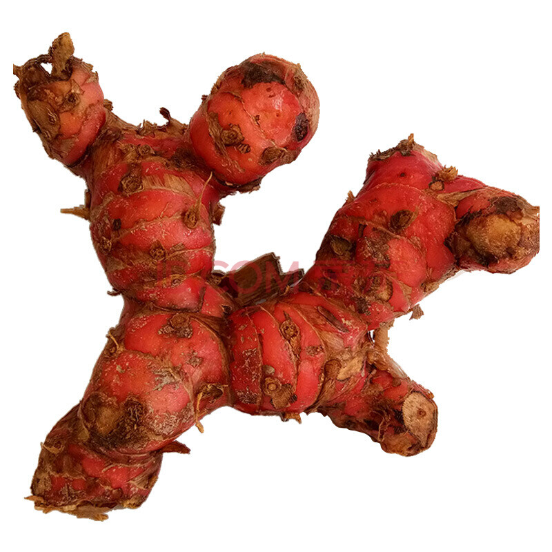 5kg 蓝姜芦苇姜 野山姜高良姜生鲜新鲜 5kg