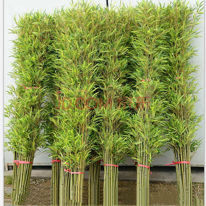 仿真竹子室内装饰人造景加密假竹子玄关客厅酒店橱窗隔断屏风绿植 1.