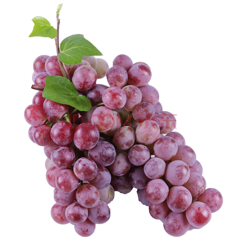 云南新鲜红提葡萄 当季现摘现发水果生鲜美食 1500g
