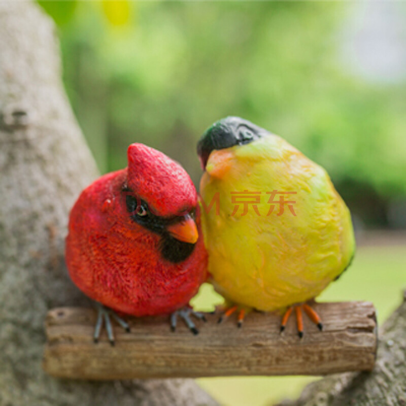 情侶鳥款1【圖片 價格 品牌 報價】-京東