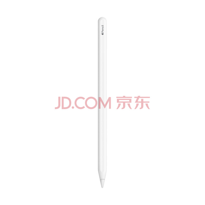 Apple Pencil (第二代) 适用于2021/2020款12.9 英寸iPad Pro和11英寸