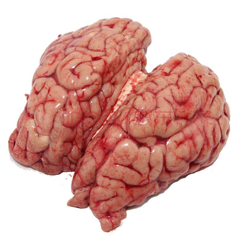 牛脑子 牛脑花 新鲜黄牛牛脑 牛肉 1.5kg