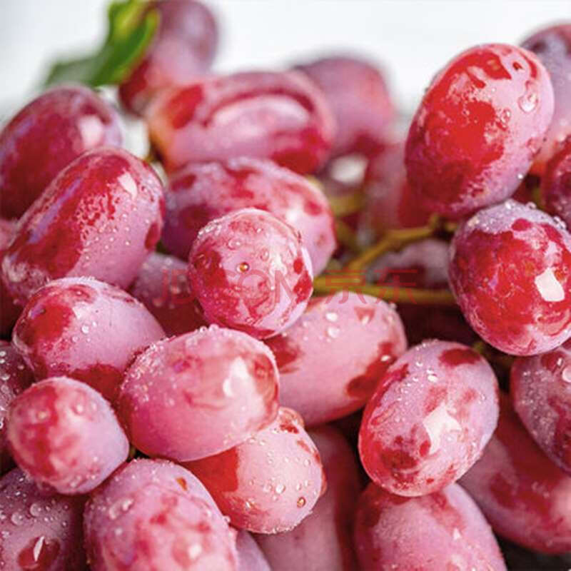 当季水果新鲜葡萄红提子小葡萄脆甜 2500g