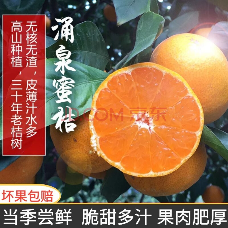 涌泉蜜桔的功效和作用及禁忌(涌泉蜜桔的功效与作用)