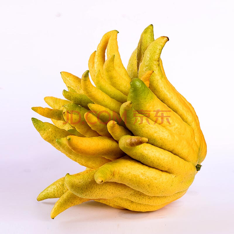 顺丰 新鲜食用佛手果佛手柑约1kg 云南金佛手水果摆件香橼果 佛手果