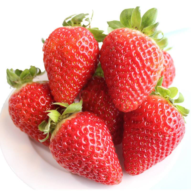 丹东99草莓2斤装 新鲜水果