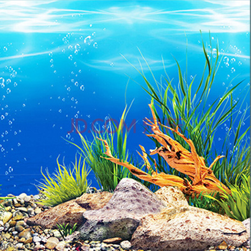 水族 造景装饰 伊丽 海贴纸墙纸背景墙纯色卡通彩纸纯色图景贴图墙纸