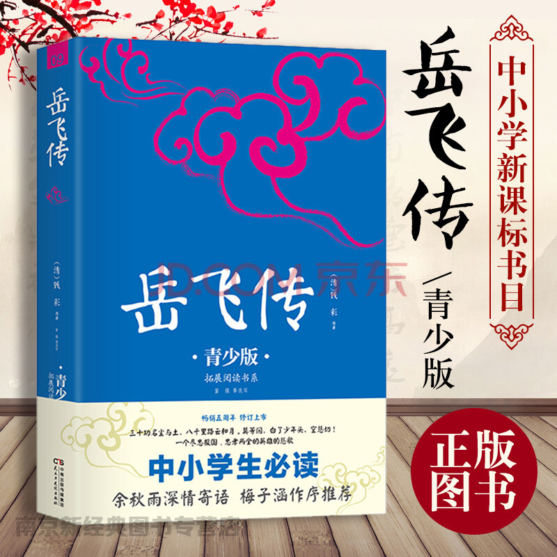 正版 岳飞传:青少版 新课标推荐中小学生课外书籍 一个尽忠报国忠孝