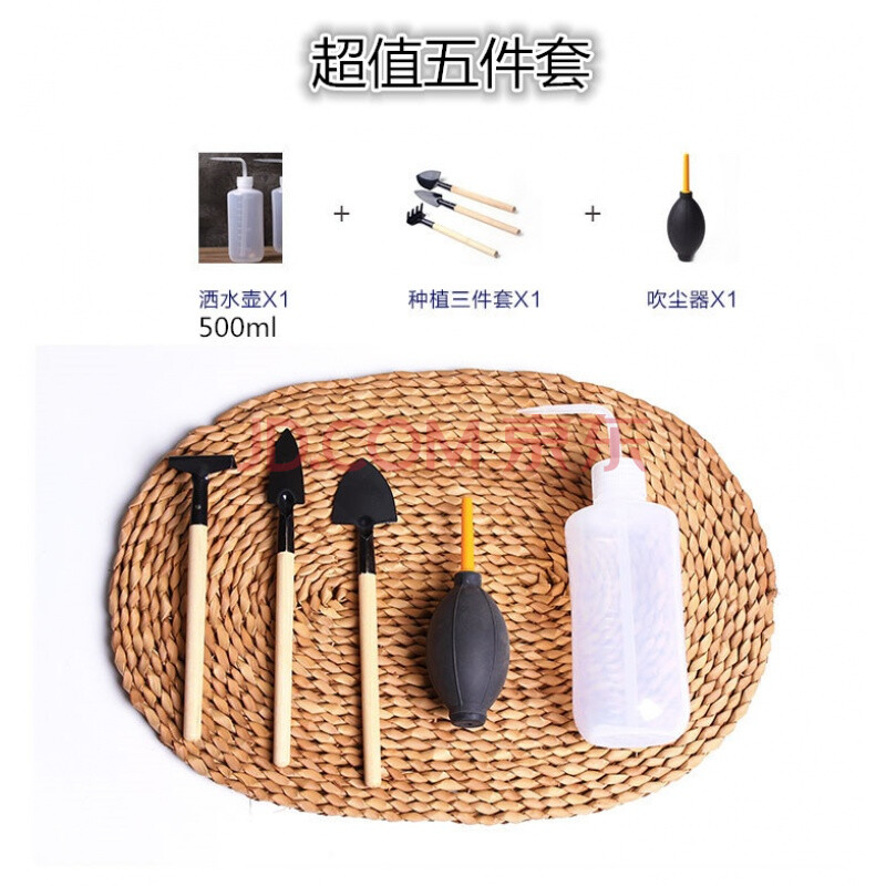 集欣 园艺种植多肉工具套装三件套多肉栽培工具超值套餐全都有 超值五