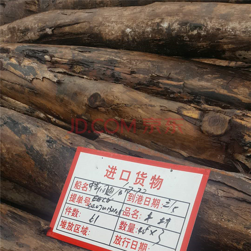 短盖豆按树古夷苏木浅黄橄仁原木一批1721立方整体拍卖