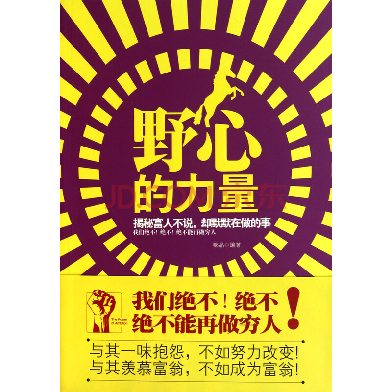 野心的力量(揭秘富人不说却默默在做的事)