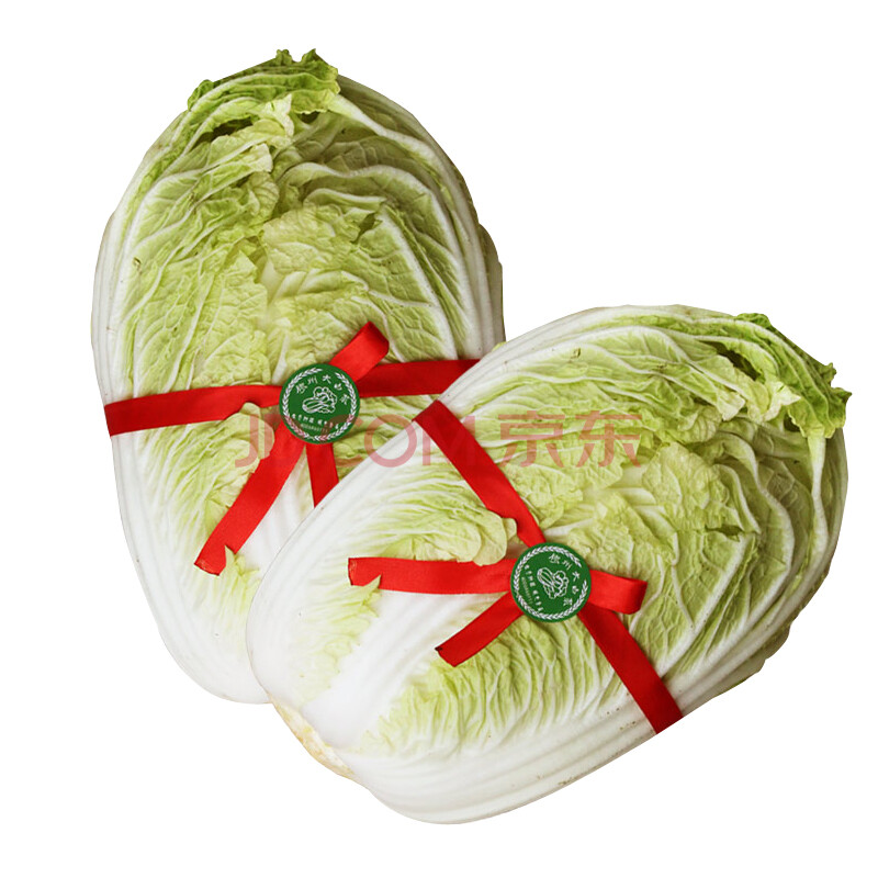 胶东大白菜2500g 胶州大白菜 山东大白菜山东特产