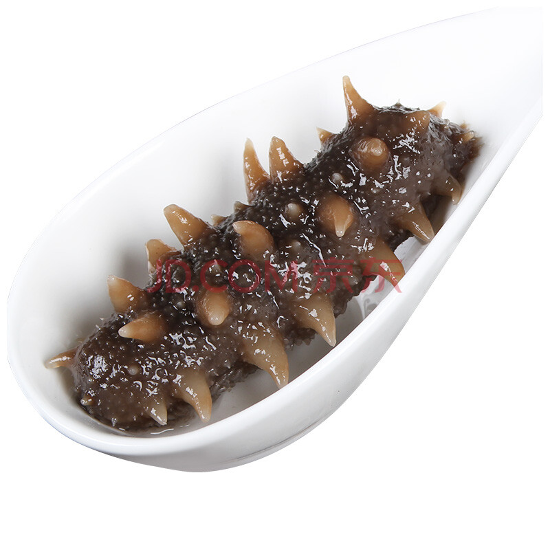 好当家(homey) 威海海参冷冻即食刺参 10-15头 500g