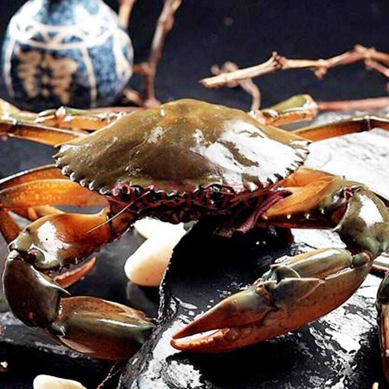 南宁鲜活膏蟹
