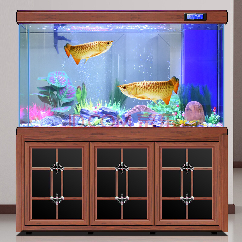 超白金鱼缸水族箱家用客厅生态玻璃免换水大中型 底过滤 50cm宽 1.