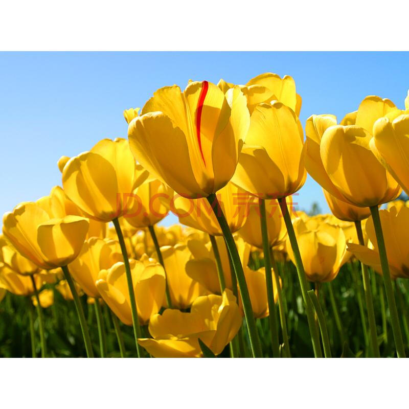 【第一次拍卖】 太原市亲贤北街9号110幢1单元29层2901号房屋