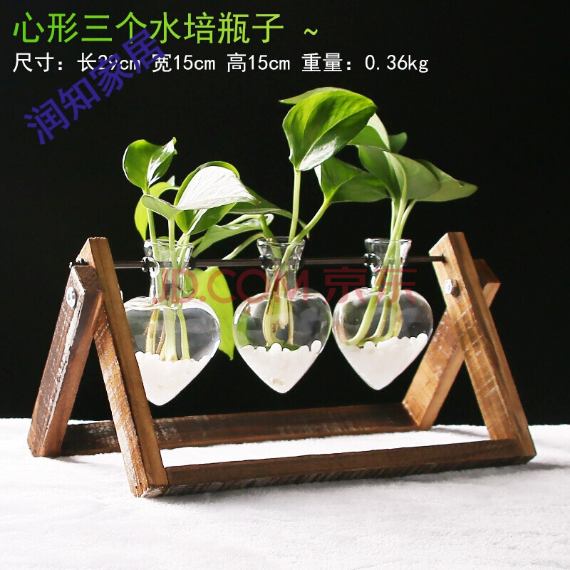 玻璃创意花盆创意水培植物玻璃瓶绿萝花瓶水培容器桌面水培摆件 绿色