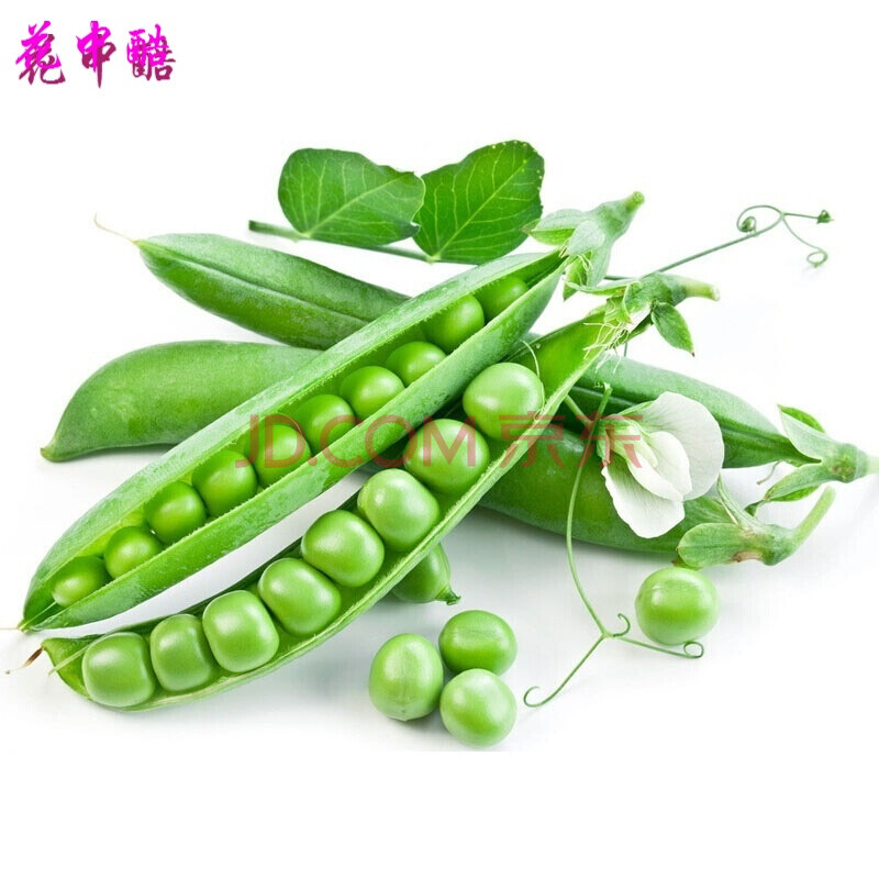 花中酷 奇珍76甜脆豌豆种子水果豌豆菜豆农家豆荚四季散装荷兰豆种子