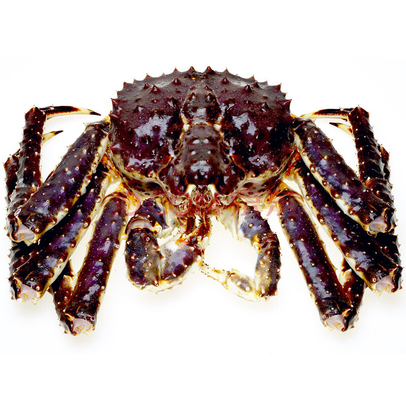 恒六 智利进口生冻帝王蟹 6斤/只