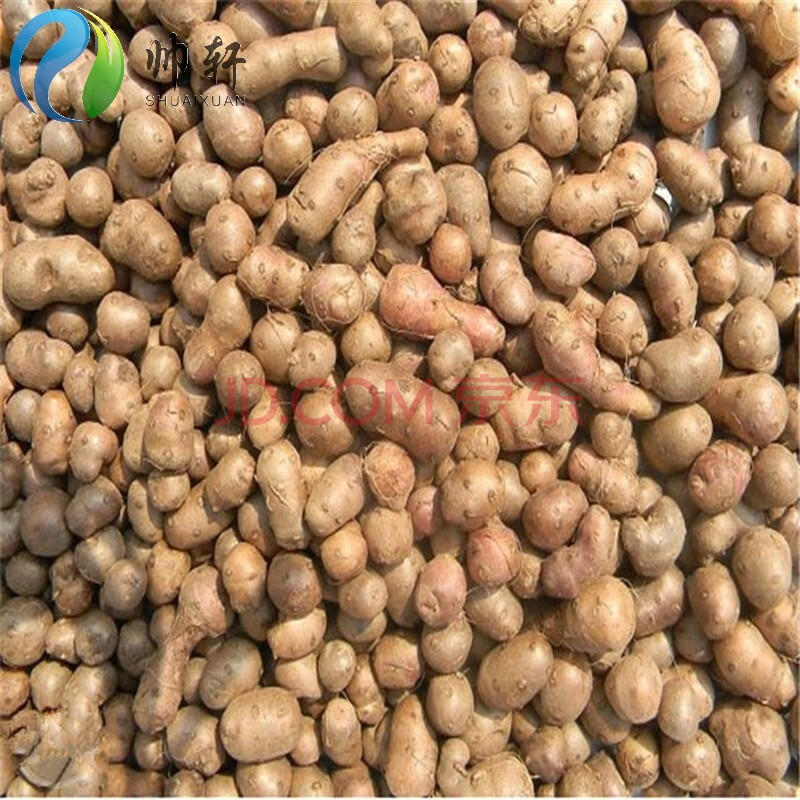 帅轩 山药种子 铁棍山药豆种子绿色余零子熬粥辅食小豆 成活率高 半斤