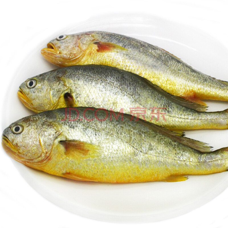 京深海鲜自营店铺