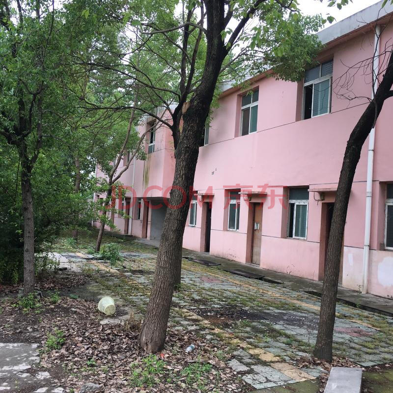 【第一次拍卖】 荆州市监利县红城乡向阳闸姜铺村一组4号的工业房地产