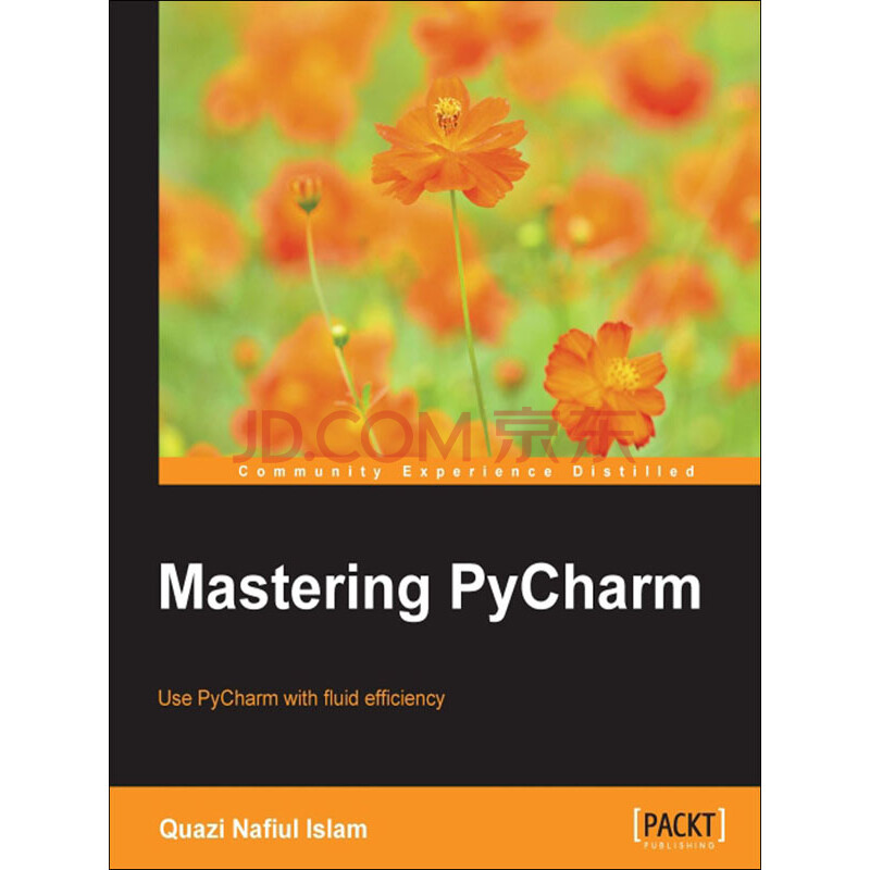 Mastering PyCharm