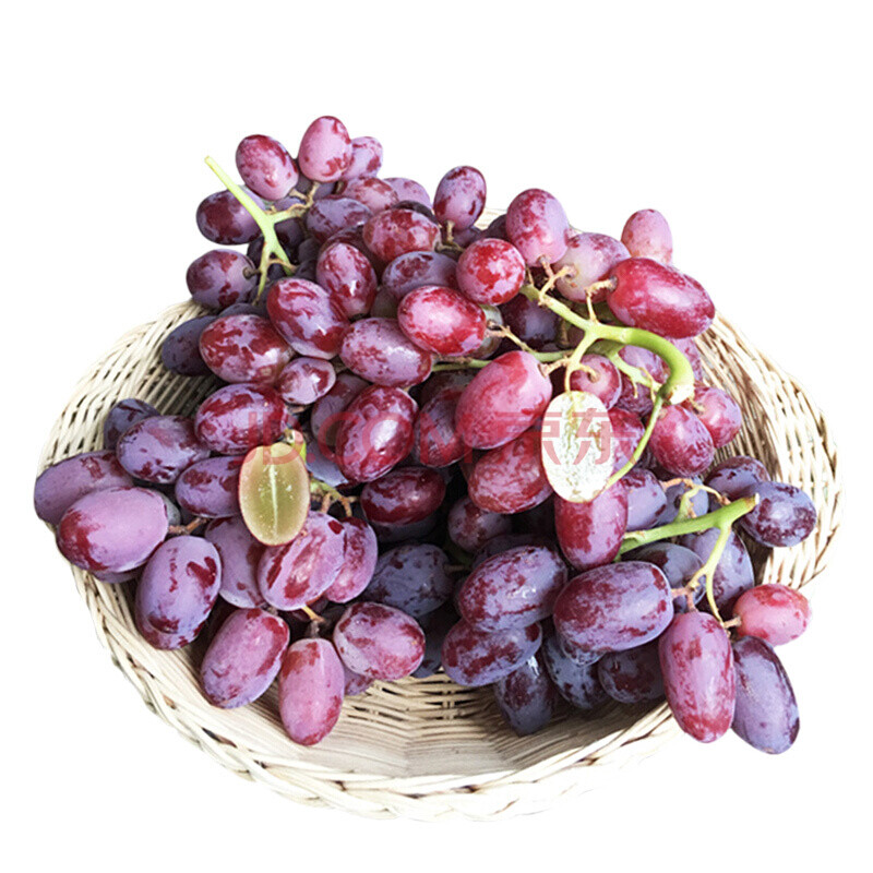 水果 葡萄/提子 藩鲜(panxian) 美国进口樱桃红无籽红提子新鲜葡萄