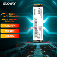 光威（Gloway）512GB SSD固态硬盘 M.2接口(NVMe协议) PCIe 3.0 Basic系列 读速高达2300MB/s