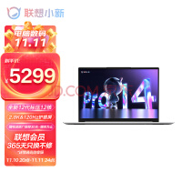 联想笔记本电脑小新Pro14 2022 英特尔Evo平台 高性能游戏轻薄本(12代i5-12500H 16G 512G 2.8K 120Hz)银办公