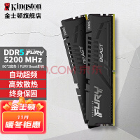 金士顿（Kingston） DDR5台式机内存条 第五代内存 FURY Beast野兽系列 骇客神条 5200套条 8G*2