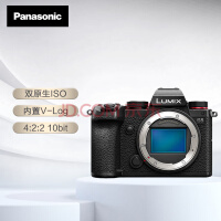 松下（Panasonic）S5 全画幅微单相机 数码相机 约2420万有效像素 5轴防抖 双原生ISO V-Log内置