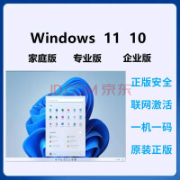 rpwindows10רҵ漤win10ҵϵͳw11ͥԿ 10רҵ