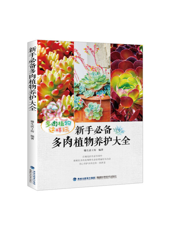 新手必备多肉植物养护大全