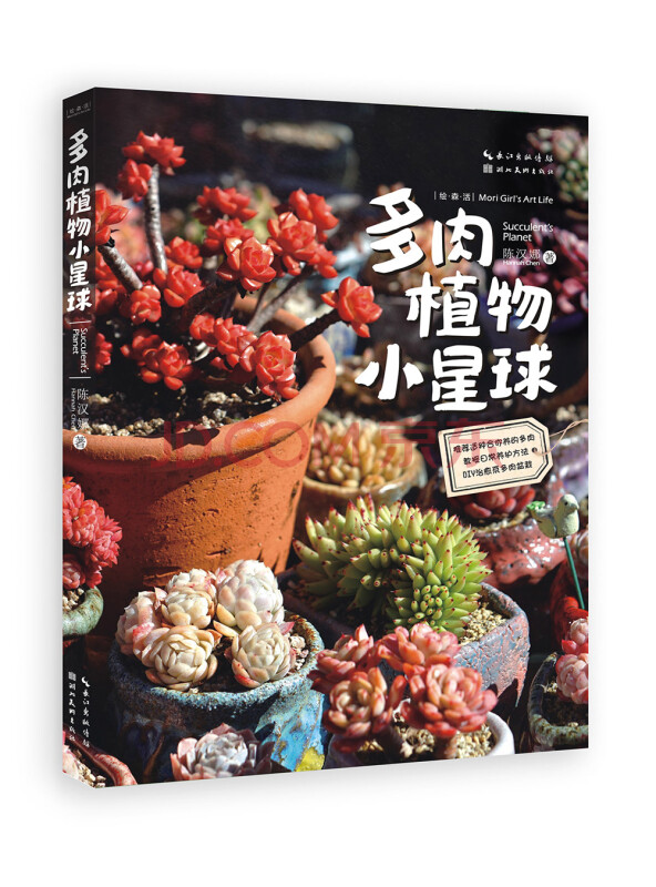 都市园艺家·多肉植物小星球
