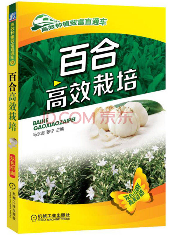百合高效栽培