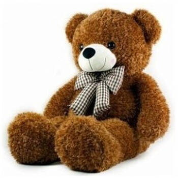 卷毛泰迪熊-布娃娃-毛绒玩具-包邮 深棕色 80cm