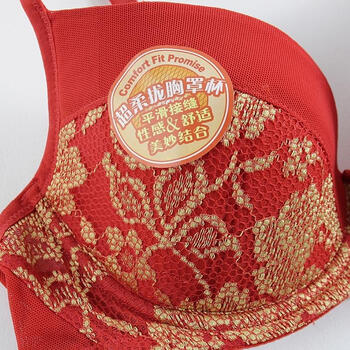 美国hanes恒适 女式炫美蕾丝文胸 双色典雅款胸罩 华丽款mib007 藏