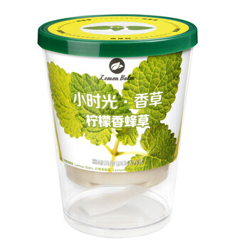 《小时光香草 柠檬香蜂草 亲子 家庭种植 兴趣习