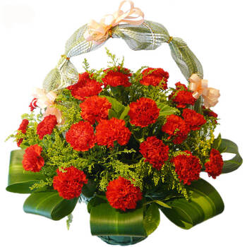 相思递鲜花快递 祝福探望花篮鲜花速递 36朵红色康乃馨鲜花花篮 生日