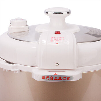 三角牌(Triangle)WYB-S0515电压力锅5L 微电脑智能压力检测