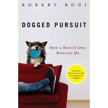 dogged pursuit how a rescue dog rescued me