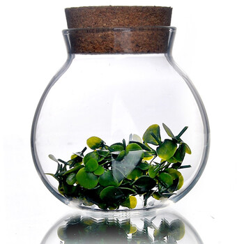 heisou 密封茶叶罐茶道用具480ml软木盖透明玻璃 储物罐 茶具配件 花茶叶食品收纳瓶KC188