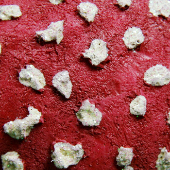 smart art 树脂仿真植物 白点红蘑菇家居摆饰 亮片扁头蘑菇