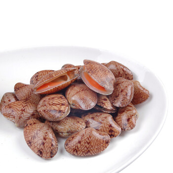 鲜码头 鲜活芒果贝 新鲜贝类500g