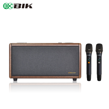 BIK日本BIK BCQ-M65d多功能音箱 BCQ-M65dB便携式多功能音箱 K歌卡拉OK 家庭影院 Hi-Fi BCQ-M65d 插电版