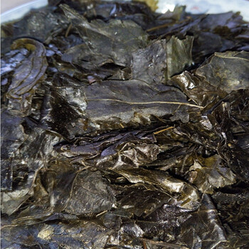 贵州特产苦丁茶小叶苦茶余庆小叶苦茶苦中甘甜可洗头500g
