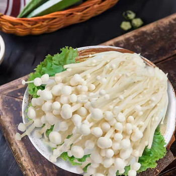 【产地直发】现摘5斤鲜金针菇蔬菜食用菌火锅麻辣烫烧烤食材批发