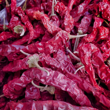 新货东北干辣椒 笨辣椒农家自晒 大红辣椒笨红辣椒 二斤 特辣